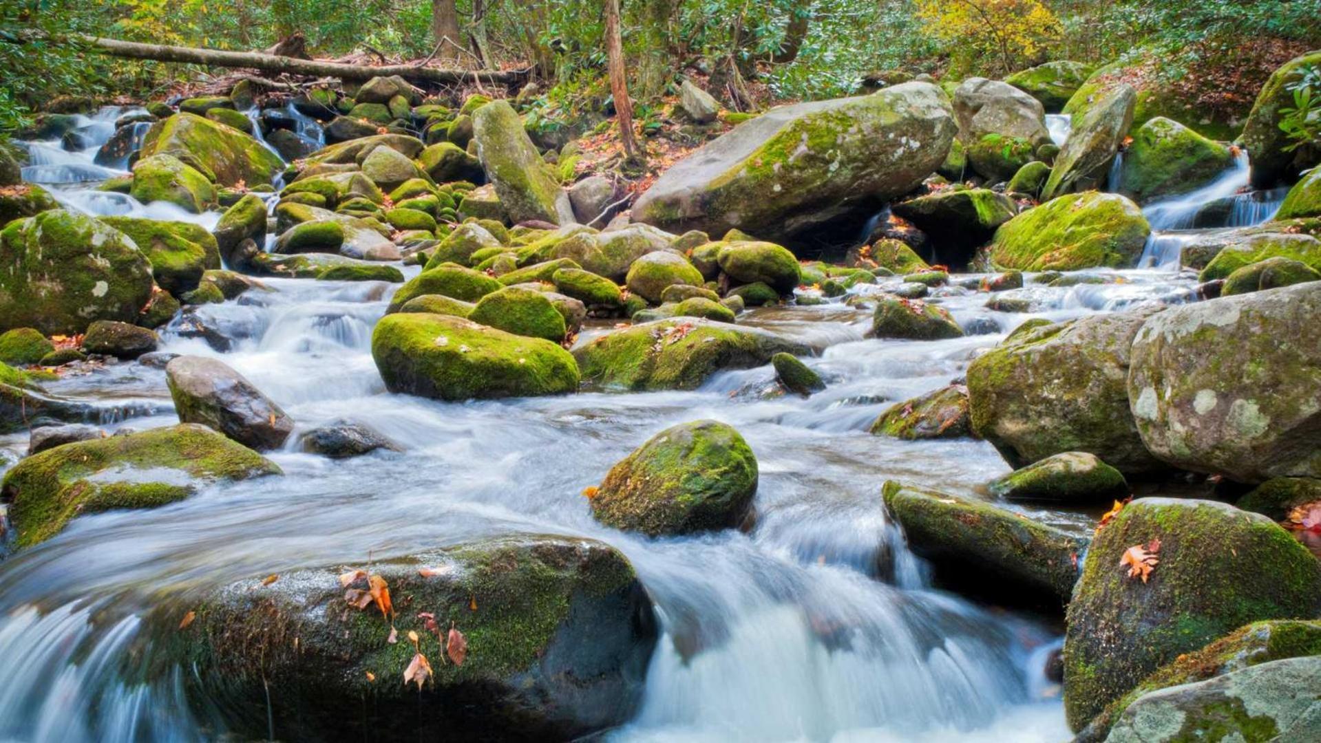 Little Smoky Retreat , 3 Bedroom , Close To Downtown Gatlinburg And Pigeon Forge Екстериор снимка